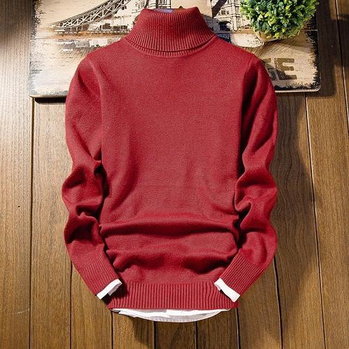 Anthony - Rollkragenpullover